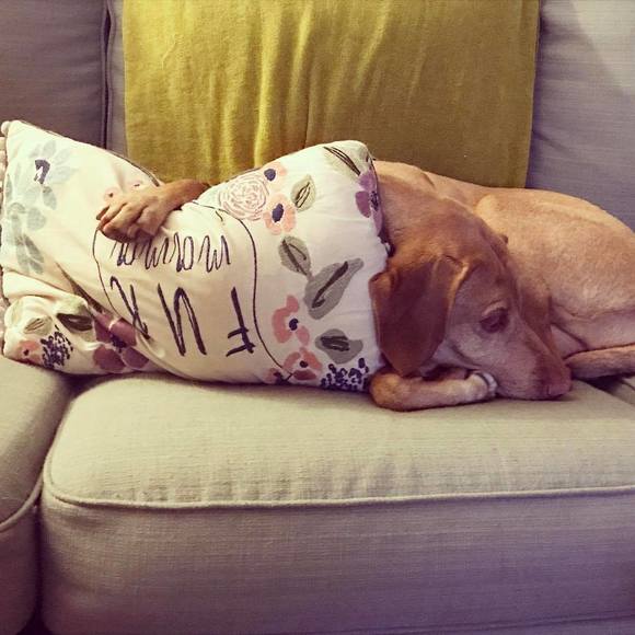 Meet your Posher, Randi lin - Picture 1 of 1